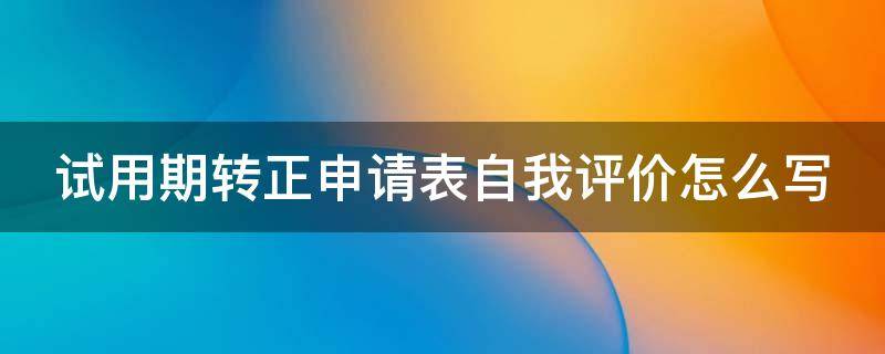 试用期转正申请表自我评价怎么写（试用期转正申请表自我评价怎么写好）