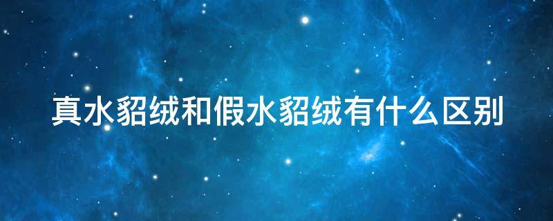 真水貂绒和假水貂绒有什么区别（真水貂绒和仿水貂绒区别）