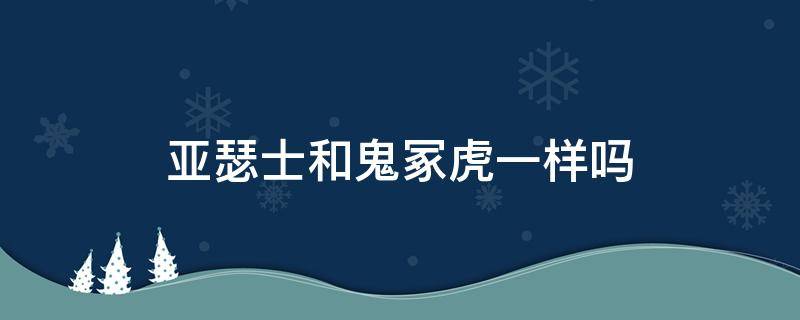 亚瑟士和鬼冢虎一样吗 亚瑟士和鬼冢虎的区别在哪