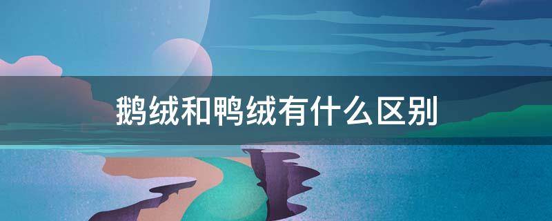 鹅绒和鸭绒有什么区别（鹅绒和鸭绒有什么区别.哪一种更好波司登）