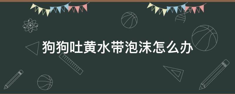 狗狗吐黄水带泡沫怎么办（狗狗经常吐黄水带泡沫怎么办）