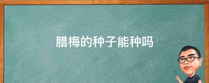 腊梅的种子能种吗 腊梅种子能种出来吗