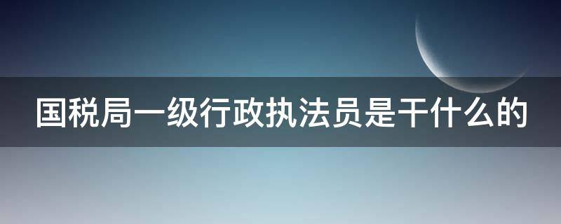 国税局一级行政执法员是干什么的（税务局公务员一年能挣多少万）