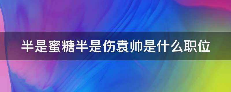 半是蜜糖半是伤袁帅是什么职位 半是蜜糖半是伤袁帅最后是什么职位