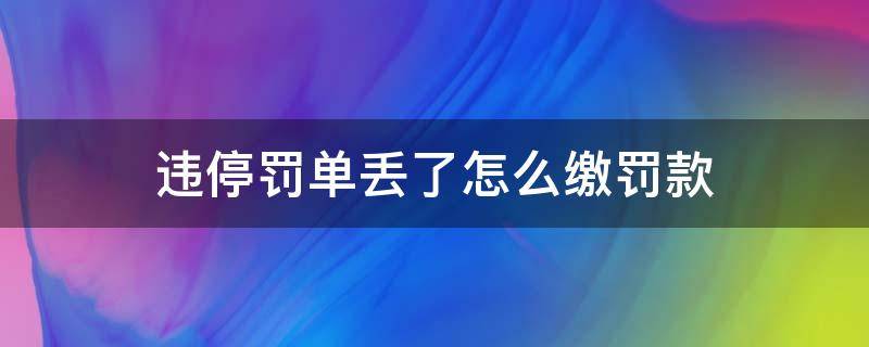 违停罚单丢了怎么缴罚款（违停的罚单丢了怎么处理）