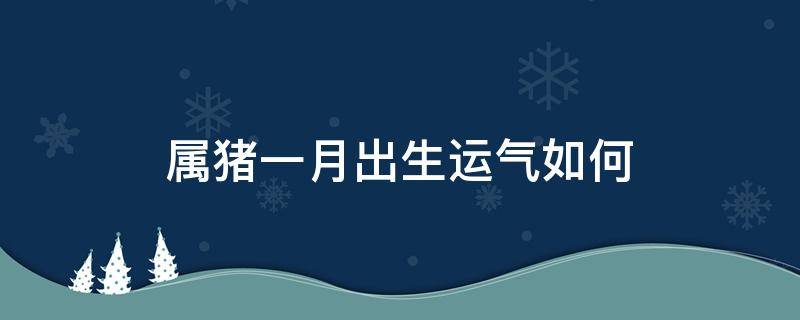 属猪一月出生运气如何 一月出生属猪的命运怎样