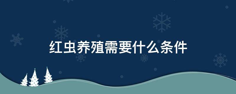 红虫养殖需要什么条件 红虫的养殖技术