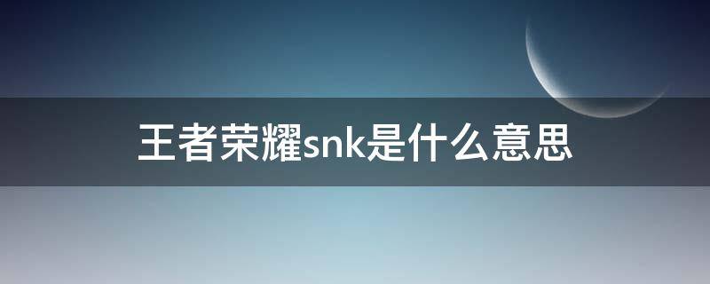 王者荣耀snk是什么意思（王者荣耀里面的snk是什么意思）