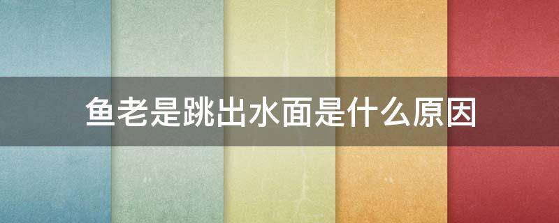 鱼老是跳出水面是什么原因 鱼为什么老是跳出水面