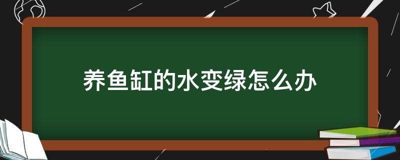 养鱼缸的水变绿怎么办（水缸养鱼水变绿怎么办）