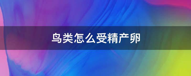 鸟类怎么受精产卵 鸟类的受精卵