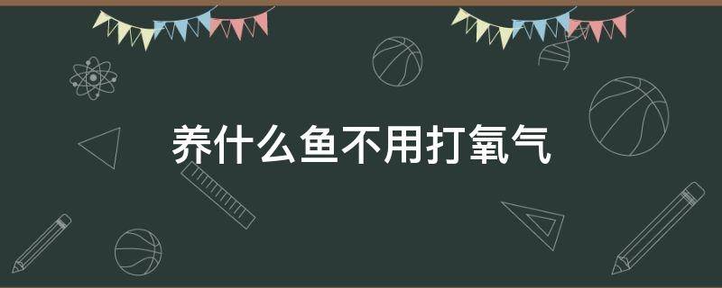 养什么鱼不用打氧气 养什么鱼不用打氧气不爱死