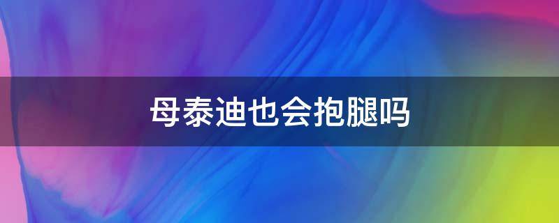 母泰迪也会抱腿吗（母泰迪老是抱腿啥意思）