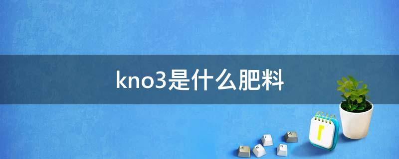 kno3是什么肥料（kno3是氮肥吗）
