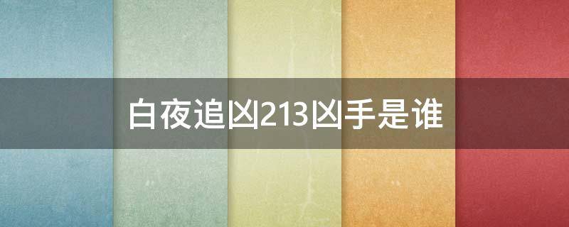 白夜追凶2.13凶手是谁 白夜追凶第二案凶手