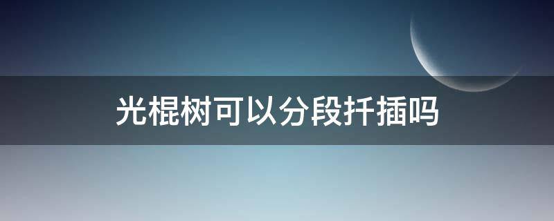 光棍树可以分段扦插吗 光棍树可以直接剪枝扦插么