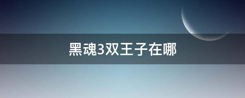 黑魂3双王子在哪 黑暗之魂3双王子在哪