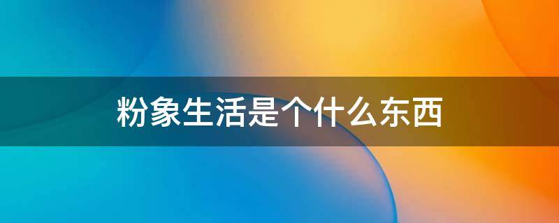 粉象生活是个什么东西 粉象生活是个什么东西需要多少钱