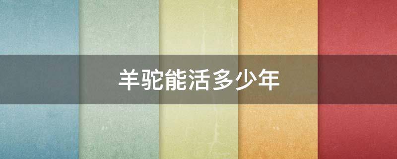 羊驼能活多少年（羊驼能活多少年多少年）