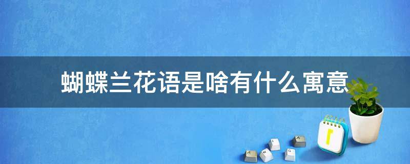 蝴蝶兰花语是啥有什么寓意 蝴蝶兰花的寓意和花语