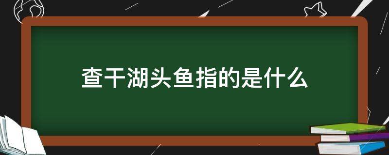 查干湖头鱼指的是什么（查干湖头鱼指的是什么意思）