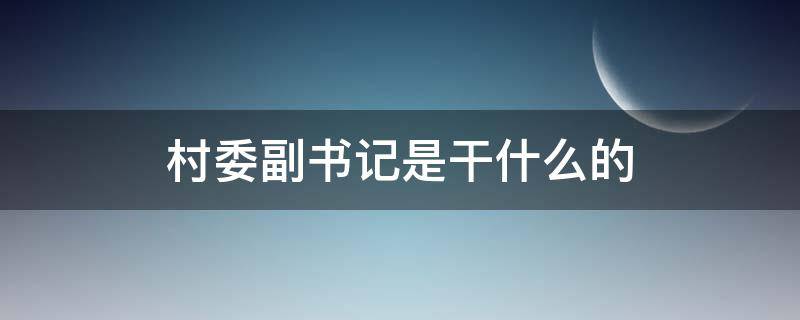 村委副书记是干什么的（村副书记主要干什么）