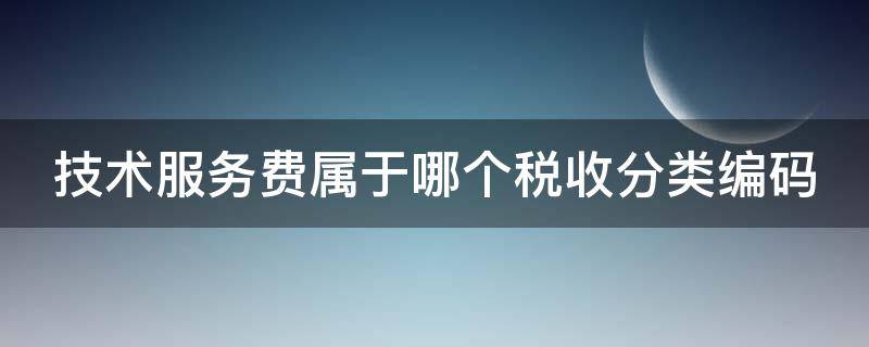 技术服务费属于哪个税收分类编码 技术服务费属于什么税收分类编码