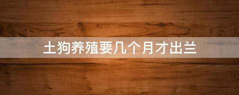 土狗养殖要几个月才出兰 养土狗几个月出栏