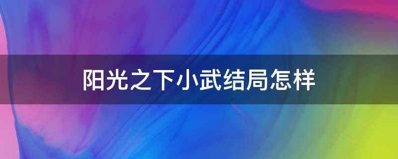 阳光之下小武结局怎样 阳光之下小武到底爱谁