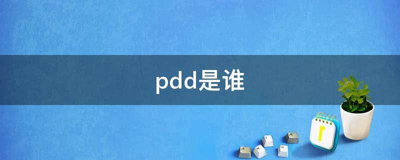 pdd是谁（英雄联盟pdd是谁）