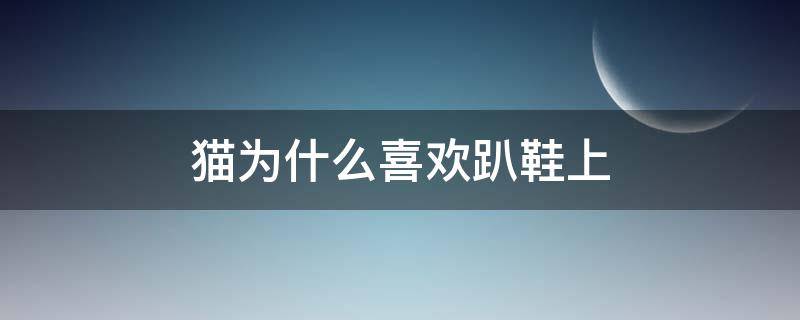 猫为什么喜欢趴鞋上 猫为什么喜欢趴鞋子上