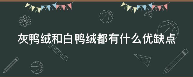 灰鸭绒和白鸭绒都有什么优缺点（灰鸭绒和白鸭绒都有什么优缺点图片）