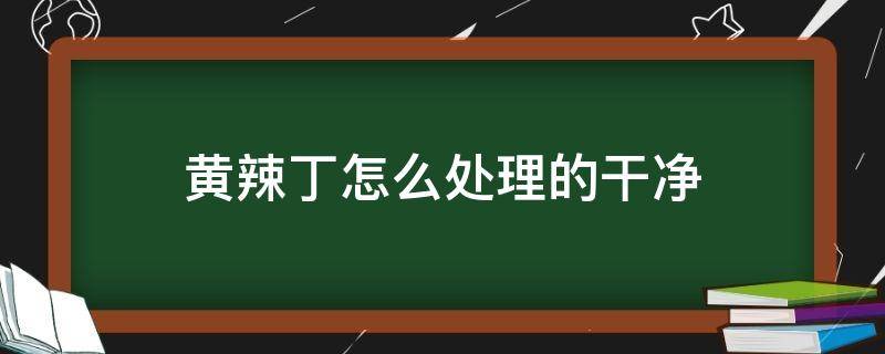 黄辣丁怎么处理的干净（黄辣丁怎么处理才干净）