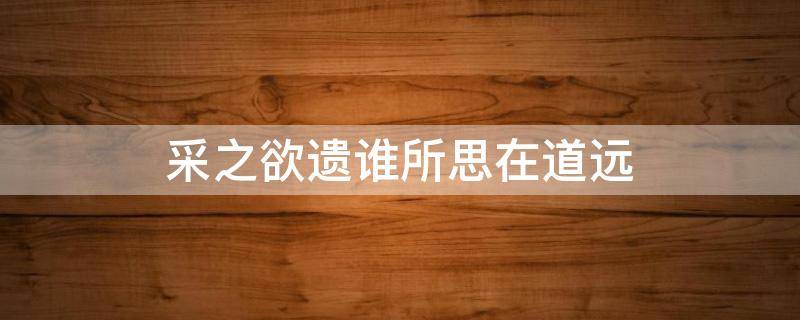 采之欲遗谁所思在道远（采之欲遗谁所思在道远中诗人所思的是谁）