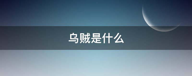 乌贼是什么（乌贼是什么样子的图片）