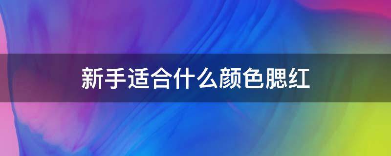 新手适合什么颜色腮红（适合新手的腮红）