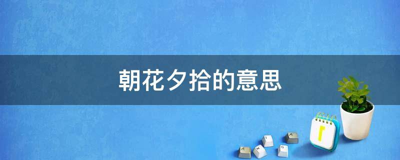 朝花夕拾的意思 颜厚有忸怩在朝花夕拾的意思