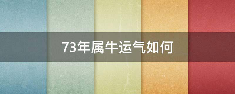 73年属牛运气如何 73年属牛今年的运气