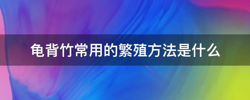 龟背竹常用的繁殖方法是什么 龟背竹移栽繁殖图解