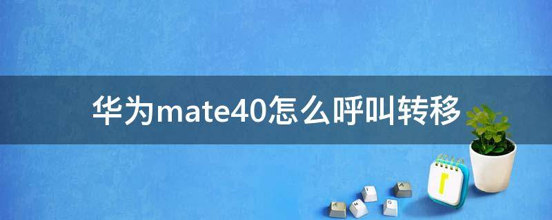 华为mate40怎么呼叫转移 华为mate40手机呼叫转移在哪里设置