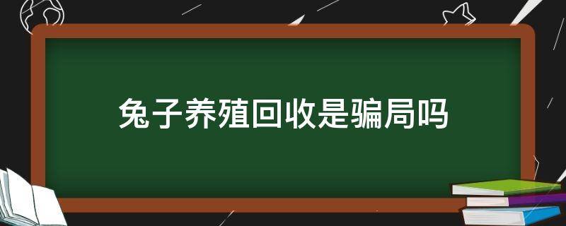 兔子养殖回收是骗局吗（养兔回收是真的吗）