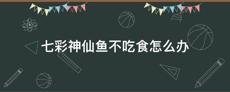 七彩神仙鱼不吃食怎么办 七彩神仙鱼不爱吃食怎么办