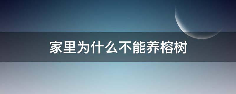 家里为什么不能养榕树（家里为什么不能养榕树盆景）