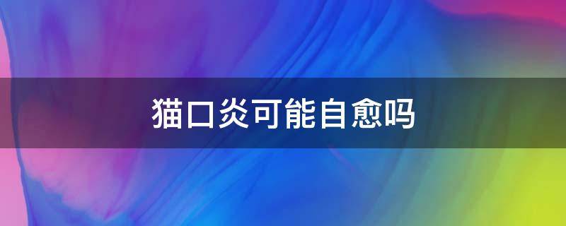 猫口炎可能自愈吗 猫口炎能自己痊愈吗