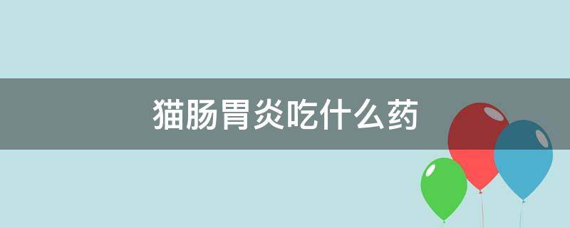 猫肠胃炎吃什么药 猫肠胃炎吃什么药效果最快