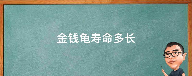 金钱龟寿命多长 金钱龟一年长多大