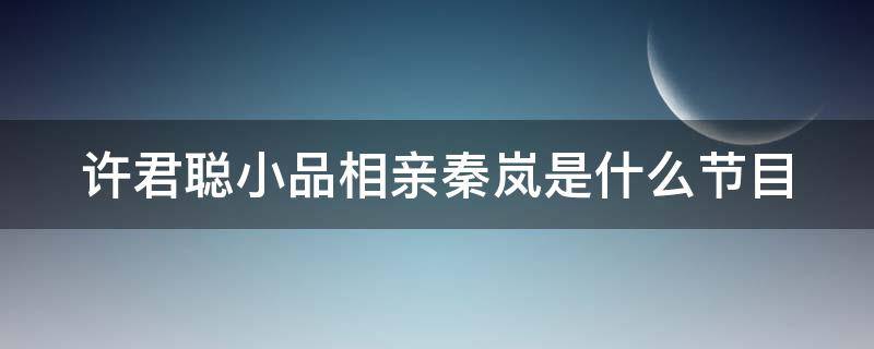 许君聪小品相亲秦岚是什么节目（许君聪相亲秦岚全集）