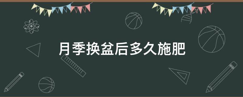 月季换盆后多久施肥（月季换盆后多久可以施肥）