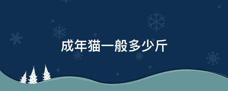 成年猫一般多少斤 成年猫一般多少斤长多少