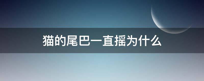 猫的尾巴一直摇为什么 猫为什么会一直摇尾巴